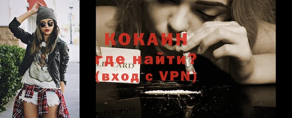 дживик Алзамай