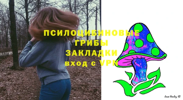 2c-b Алексин