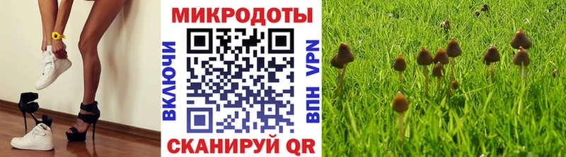 Псилоцибиновые грибы мицелий  Бирюч 